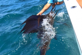 Ningaloo Sport Fishing