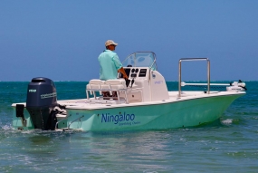 Ningaloo Sport Fishing
