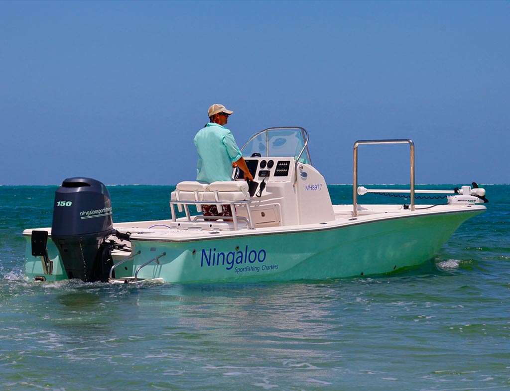 Ningaloo sportfishing charters