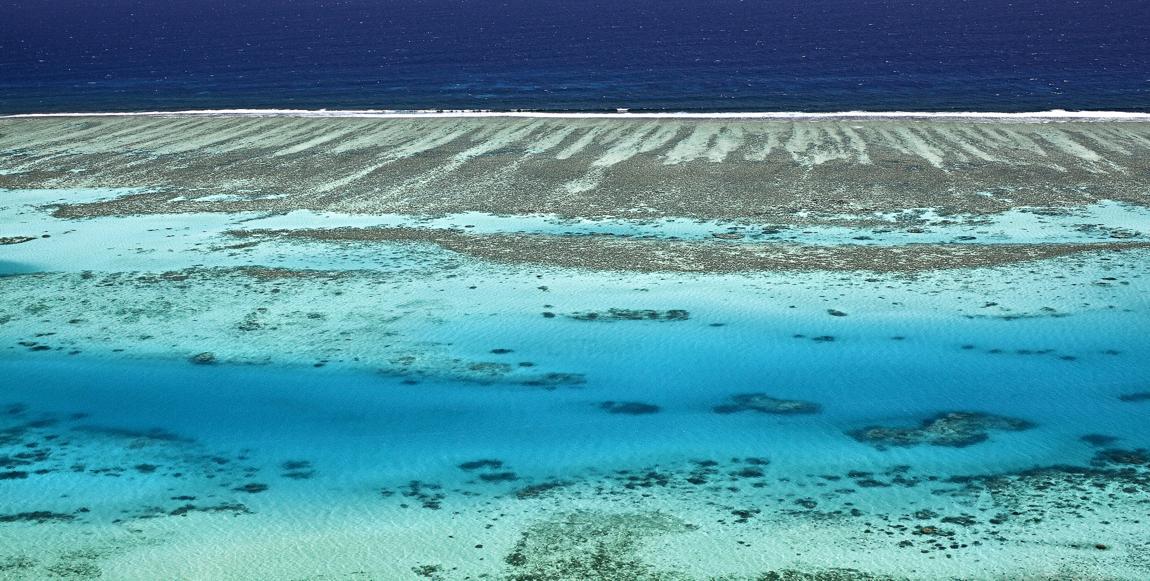 Ningaloo Reef