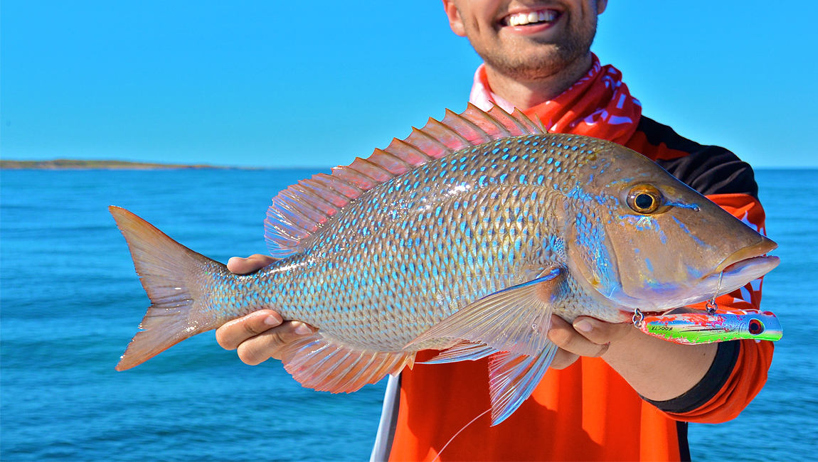 Snapper Slider